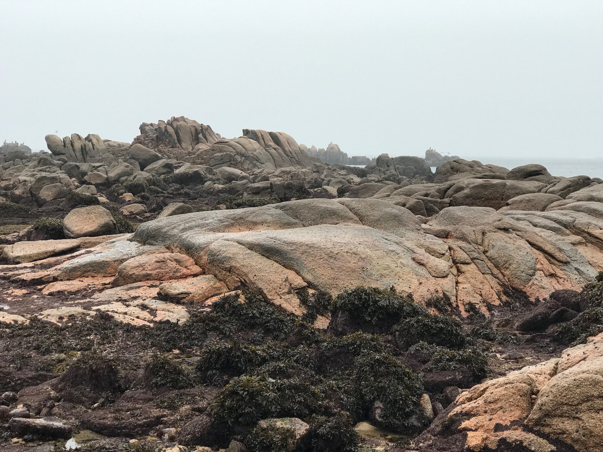 image from Costa da Morte, Ezaro, Santiago de Compostela