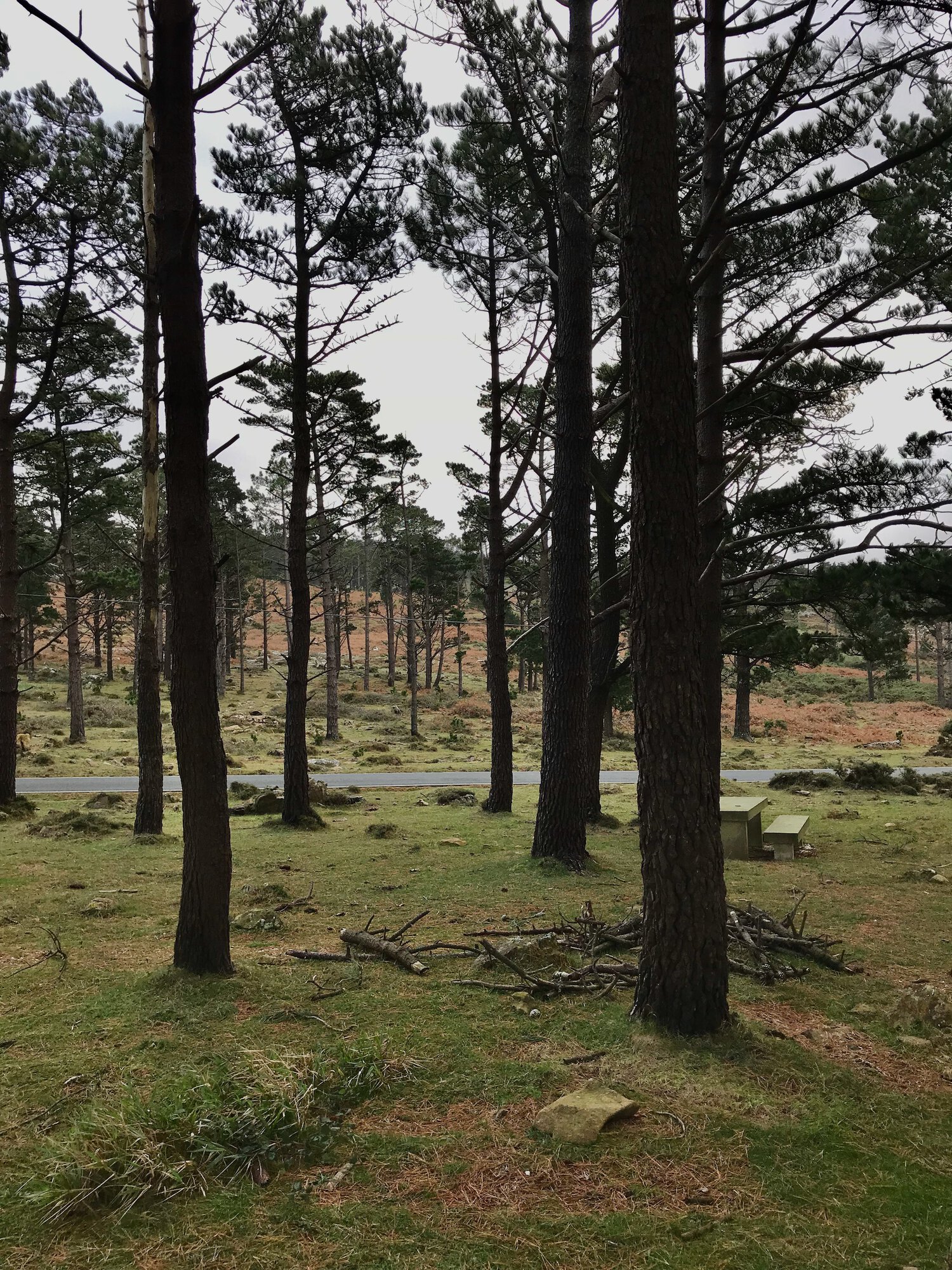 Miradoiro dos Carrís