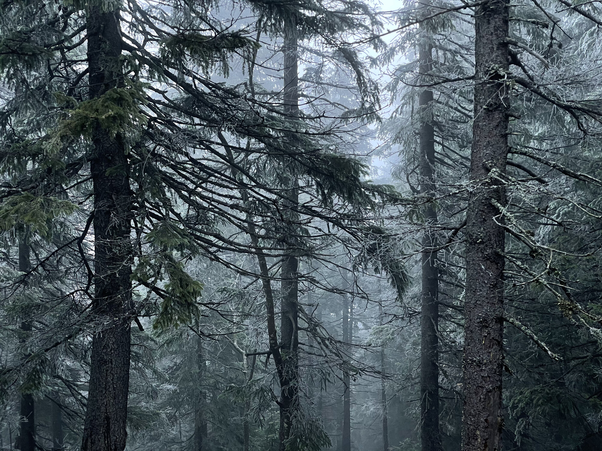 image from Homyak muntain, Dovbush rocks